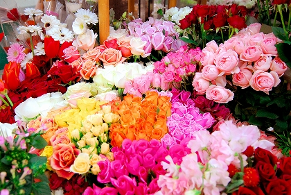 生花もプリザーブドも素敵なものが揃う 大阪本町おすすめの花屋さん Pathee パシー