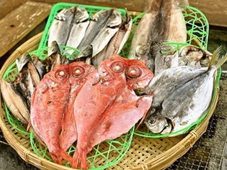 獲れたて魚を干物に。地魚干物セット